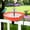 Red, variant on CRAGRSI Bird Bath Fountains Solar Power Squirrel Proof Solar Bird Bath