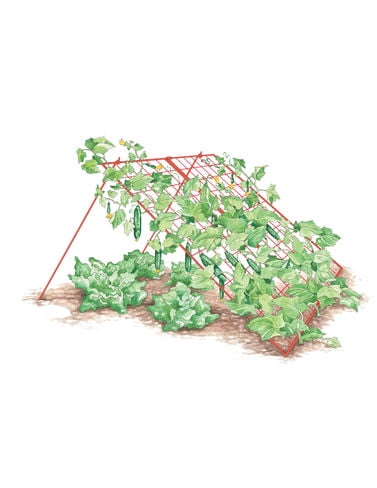 Large Cucumber Trellis by Gardener's Supply Co.