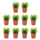 thumbnail image 3 of 10 piezas de plantas en maceta en miniatura, decoración de bonsái para el hogar, simulación de planta en maceta, 3 of 5