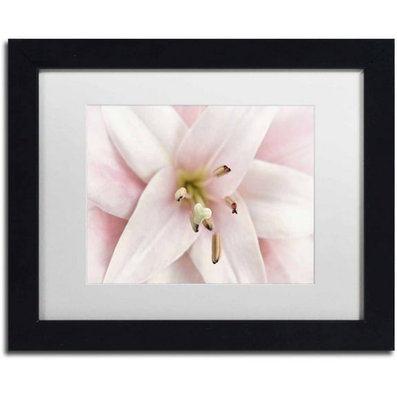 Trademark Fine Art 'Pink Lily' Canvas Art by Cora Niele, White Matte, Black Frame