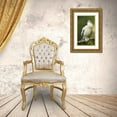 thumbnail image 3 of Morris, Arthur 12x18 Gold Ornate Wood Framed with Double Matting Museum Art Print Titled - FL, Abandoned anhinga chick on branch yawning, 3 of 4