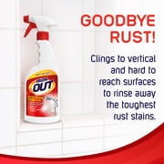 Iron Out Rust Stain Remover 24 fl oz