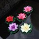 thumbnail image 3 of Flores flotantes artificiales de loto, nenúfar, plantas de jardín para tanque, estanque, decoración, 3 of 5