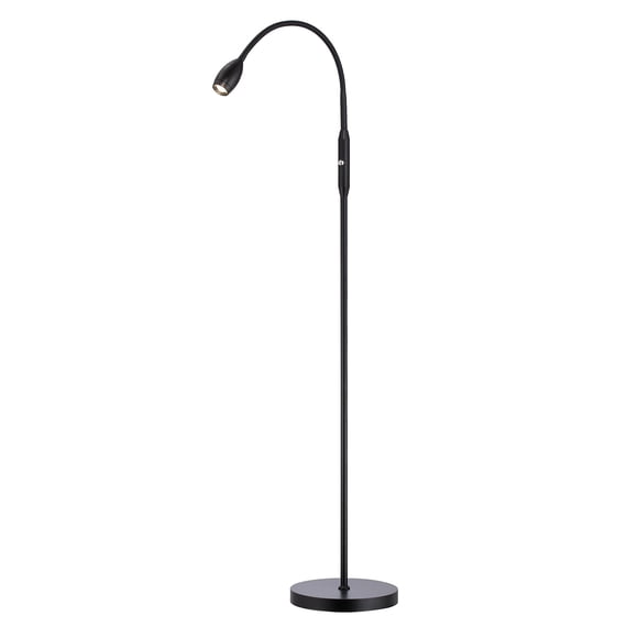 Lámpara de pie LED ajustable O'Bright Ray, negro mate