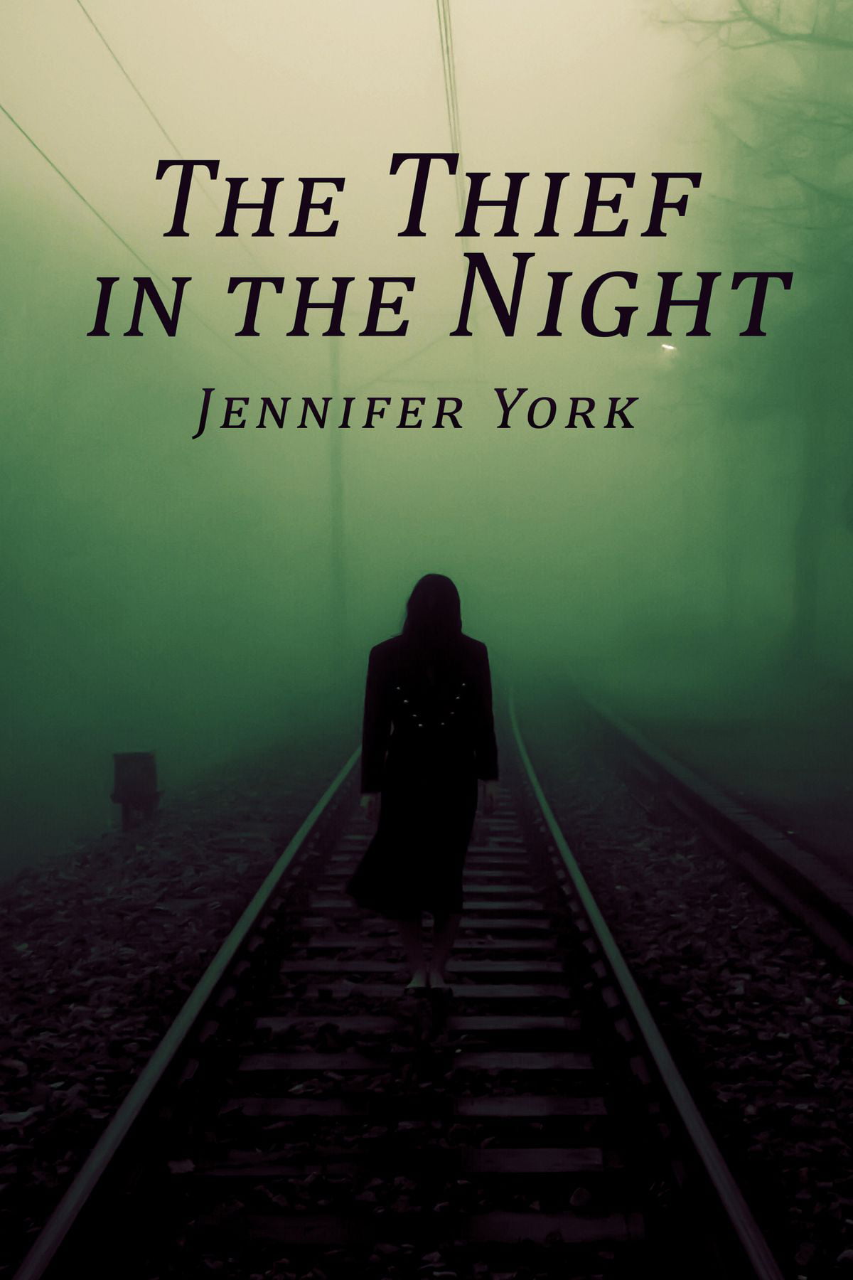 a thief in the night series