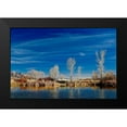 thumbnail image 2 of Susan Vizvary Photography 18x13 Black Modern Framed Museum Art Print Titled - White Reflecting Trees, 2 of 5