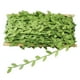 thumbnail image 1 of 1 Rollo (20 M) de Hiedra Artificial Hojas de Hiedra Verde Guirnals Colgantes para Decoración de Pared de Jardín de Bo Macarena Hojas de vid artificiales, 1 of 8