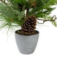 thumbnail image 2 of Northlight Real Touch™️ Potted Mixed Pine and Cedar Artificial Christmas Tree - 24" - Unlit, 2 of 6
