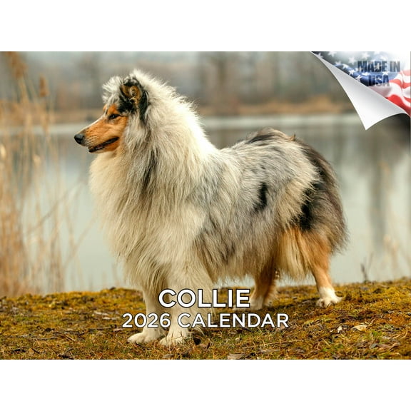 2025 2026 Collie Calendar - Dog Breed Monthly Wall Calendar - 12 x 18 Open - Thick No-Bleed Paper - Giftable - Made in USA
