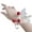 Red, variant on SPRING PARK Women Bridesmaid Wedding Bridal Prom Wrist Corsage Hand Flower Bracelet