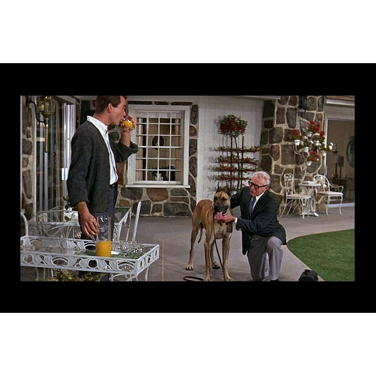 The ugly dachshund shop full movie free online