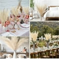 thumbnail image 7 of Soonbuy 4 PCS 44" Natural Dried Pampas Grass Bouquet,Boho Home Decor Bouquet, Phragmites Dried Flowers,Bouquet for Wedding Floral Arrangements Home Decorations, 7 of 7
