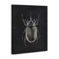 thumbnail image 2 of Stupell Industries Modern Horned Beetle Minimal Black Canvas Art, 16 x 20, by Ziwei Li, 2 of 7