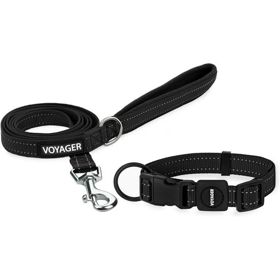 Voyager Reflective Dog Leash with Neoprene Handle, 5ft Long, Supports Small, Medium, and Large Breed Puppies, Cute and Heavy Duty for Walking, Running, and Training, Turquoise, 2pk