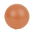 thumbnail image 1 of Zshan Pilates Core Ball, Small Exercise Ball for Pilates, Yoga, Core Training, Balance, 1 of 5