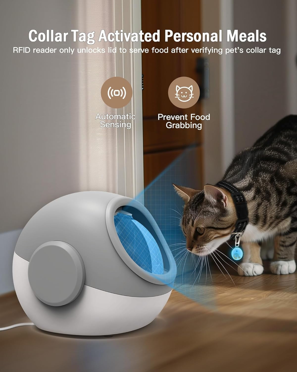 Automatic Cat Feeder, Microchip Pet Feeder, Auto Cat Feeder with Collar, Automatic Pet Feeder - Prevents Food Stealing, Perfect for Prescription Diets, Schedules Meals for Multiple Cats