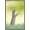 Barnwood Framed Version, variant on The Comedy Wildlife Photography Awards: Perdita Petzl - Conducting Wall Poster, 14.725" x 22.375"