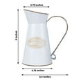 thumbnail image 3 of Efavormart 9" Vintage Metal Decorative Garden Water Pitcher Centerpiece, Rustic Shabby Chic Milk Jug Flower Vase, 3 of 11
