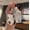 A, variant on Fashion Car Key Case Cover Holder for Toyota Chr C-hr RAV4 Land Cruiser 200 Avensis Auris Corolla Prius Keyrings