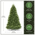 thumbnail image 5 of National Tree Company 12 ft Unlit Dunhill Fir Artificial Full Christmas Tree, 7,794 Tips, Includes Stand, Green, 5 of 8