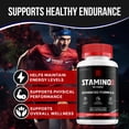 thumbnail image 2 of Stamino for Men Capsules – Stamino MultiVitamin Complex Pills, Energy, 5 Pack, 300 Capsules, 2 of 6