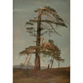 thumbnail image 3 of Amaldus Nielsen 14x18 Black Modern Framed Museum Art Print Titled - Pine. Vingerasheia, Telemark (1866), 3 of 5