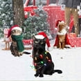 thumbnail image 4 of (2-Pack) Kcodviy Holiday Feature Cat Garden Art Insert Christmas Theme Festive Nature Focus Triplet Display, 4 of 8