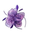 thumbnail image 2 of Vintage Veil Fascinator Hair Clip Headband for Women, Tea Party Wedding Guest Hair Accessory, Retro Cocktail Bridal Shower Hairpiece, 1pc - Purple, 2 of 8