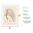 thumbnail image 2 of Prickly Ita Palm Tree - (Mauritia Armata) - Vintage Botanical Illustration by Carl Friedrich Philipp von Martius c.1820s - Japanese Unryu Rice Paper Art Print (Unframed) 18 x 24 in, 2 of 4