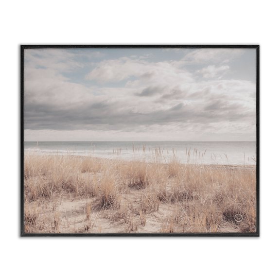 Stupell Industries Coastal Grassy Ocean Shore Horizon Black Framed Giclee Art, 14 x 11, by Nathan Larson