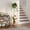 White, variant on SUOERNUO Plant Stand Indoor Corner Tall 2 Tier Metal Modern Flower Storage Plant Shelf Holder for Living Room Balcony Garden,White
