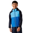thumbnail image 4 of Regatta Boys/Girls Kielder IX Hybrid Jacket, 4 of 5