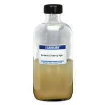 Agar, 2% (Non-Nutrient), Prepared Media Bottle, 125 Ml