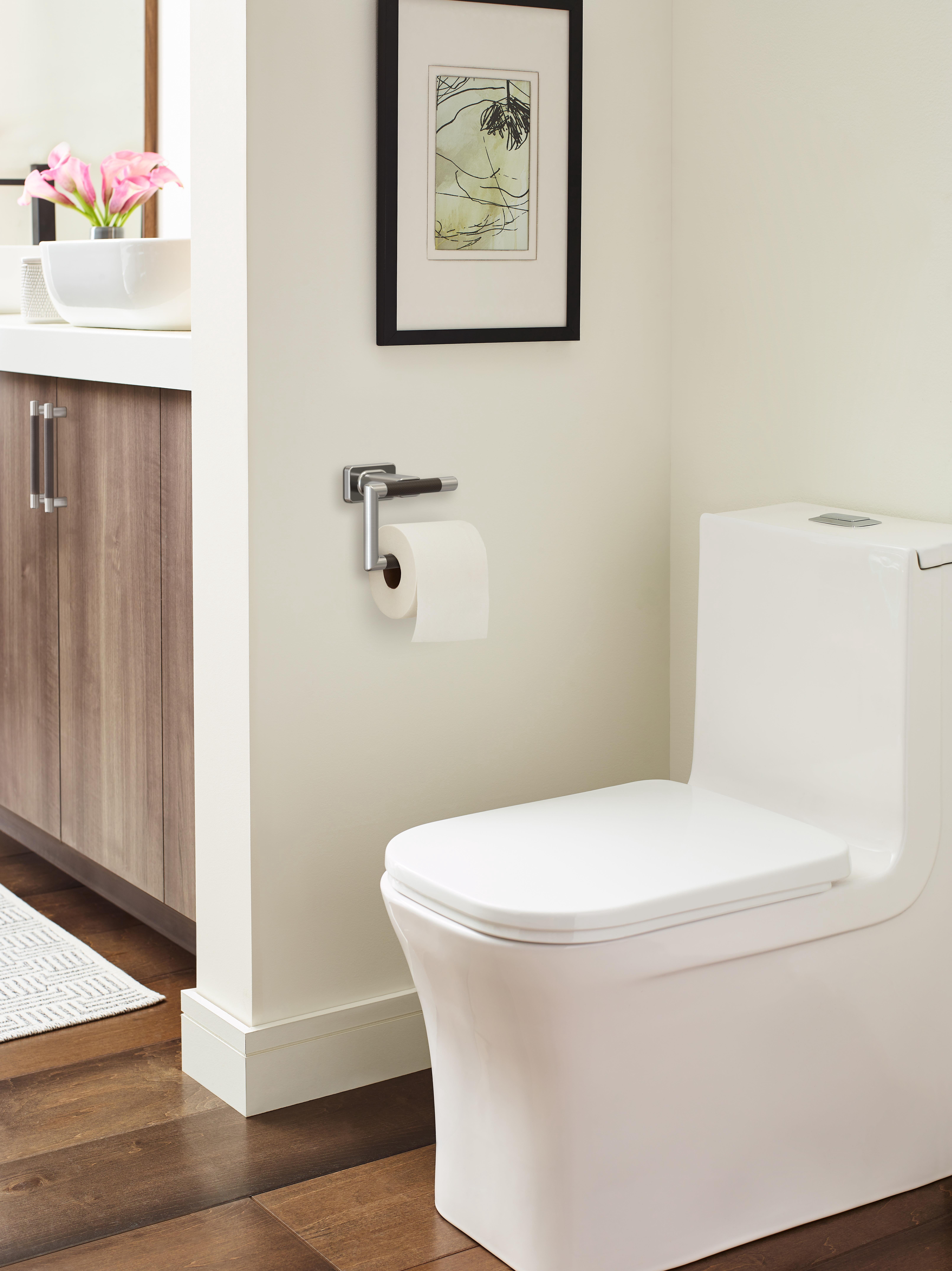 Amerock Esquire Brushed Nickel/Oil-Rubbed Bronze Single Post Toilet Paper Holder