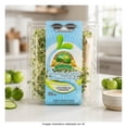 thumbnail image 5 of Germinado De Alfalfa San Francisco Bay, Fresco Y Crujiente, Ideal Para Ensaladas Y Platillos, 80 Gr, 5 of 5