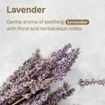 thumbnail image 3 of ATTITUDE Furry Friends, Shampoo, Deodorizing, Lavender, Pet care, Dog Shampoo, 473 mL, 3 of 5