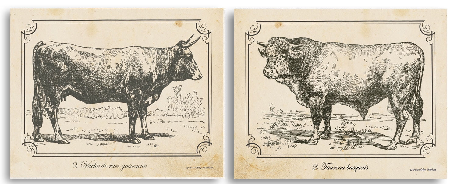 Vintage Black and White Cow Set; Kitchen Decor; Two 11X14 Paper Set