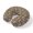 Olive, Khaki, Bronze, Umber, variant on Neck Pillow, Interlocking Loops Bronze Memory Foam U-Shaped Travel Pillow for Airplane Car Train Office Nap, Portable Soft Head Neck Support for Sleeping & Reclining Geometric Middle Century Modern