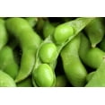 thumbnail image 4 of 20 Seeds Edamame BE SWEET SOYBEAN Glycine Max Soy Bean Green / Yellow Vegetable Seeds, 4 of 8