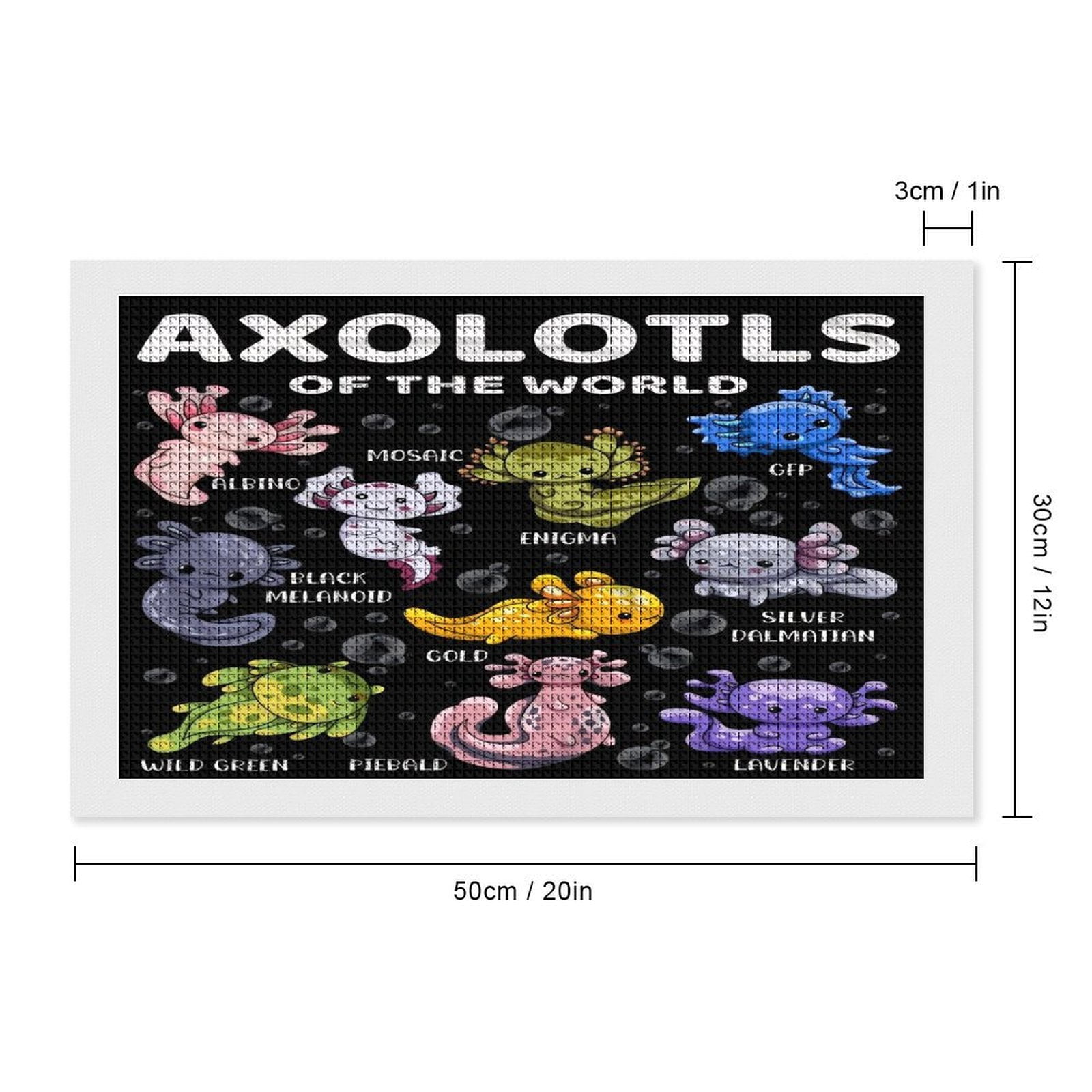 Axolotl Diamond Painting Horizontal (Square Diamond) (Canvas), A Craft For Beginners, Suitable As A Gift Or Home Wall Decoration 12"x20"