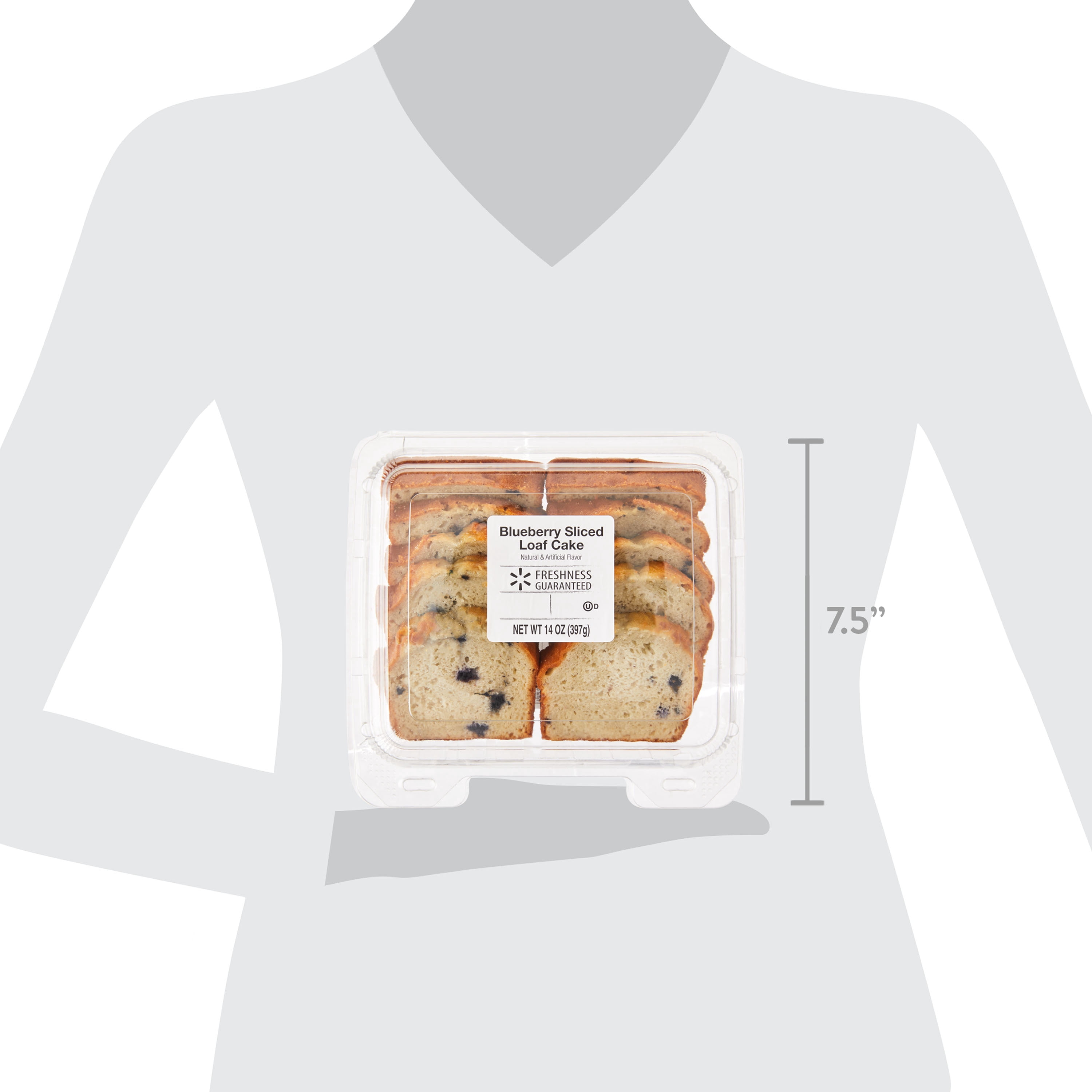 Freshness Guaranteed Blueberry Sliced Loaf Cake, 14oz, 10 Count