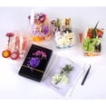 thumbnail image 5 of Dried Flowers, Dried Flowers, Dried Flowers for Crafts, Dried Flowers, Small Dried Flowers Set for Art, DIY, Resin, Scrapbooking, Crafts, Cards Making, 5 of 5