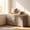 Heather Greige and Cappuccino Beige, variant on LEDREM 3-Tier Shoe Storage Bench with Cushion, Adjustable Shelves Entryway Bench for Hallway or Bedroom, 39.8-Inch Farmhouse Style, Heather Greige and Cappuccino Beige