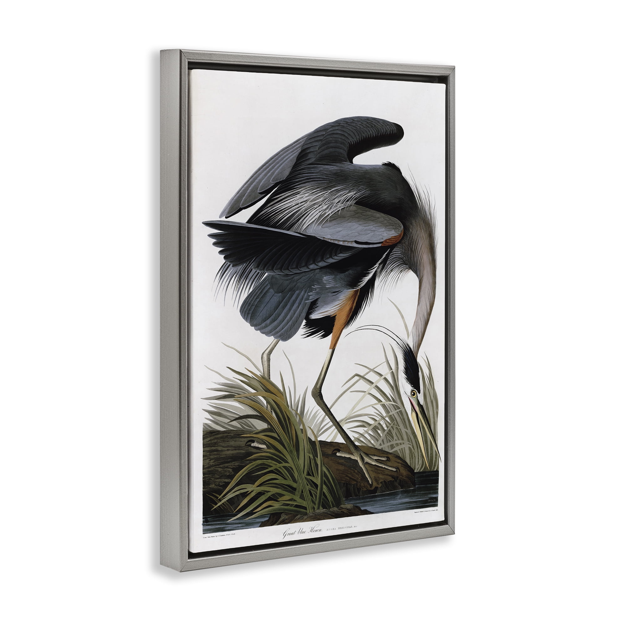 Stupell Industries Classic Heron at Lake Animals & Insects Painting Gray Floater Framed Canvas Art Print Wall Art, 21 x 31