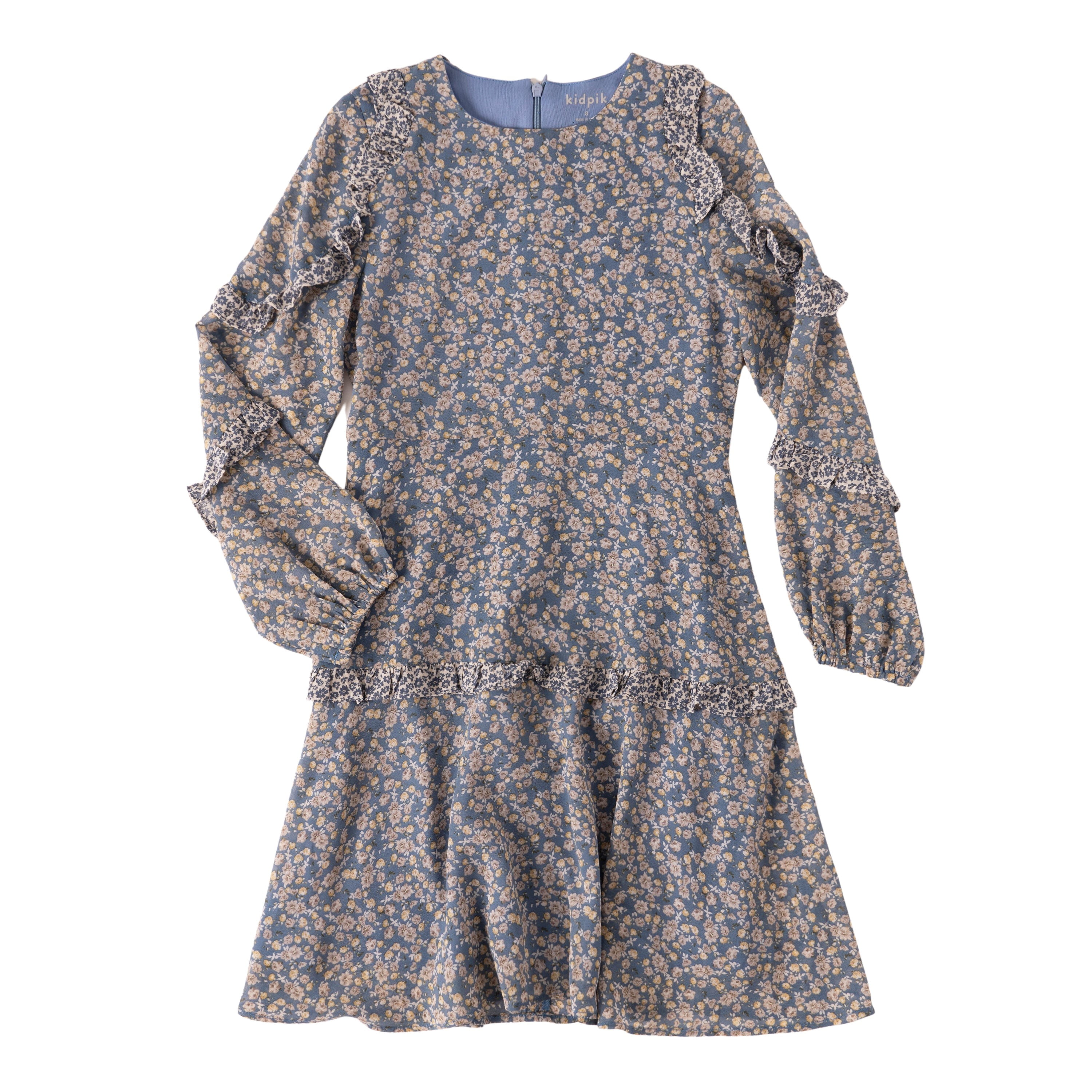 Fredag Opstå Kejser KIDPIK Girls Long Sleeve Ruffle Lined Zip Up Tonal Blue Chiffon Floral Dress,  Size: 2 - 16 - Walmart.com