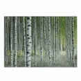 thumbnail image 1 of Birch Tree Cutting Board, Peaceful Late Summer Woodland Trunks Leaves Foliage Serene Tranquil, Decorative Tempered Glass Cutting and Serving Board, Small Size, Green Pale Grey Black, by Ambesonne, 1 of 1