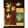 thumbnail image 2 of Mallett, Keith 12x14 White Modern Wood Framed Museum Art Print Titled - New Leaf I, 2 of 4