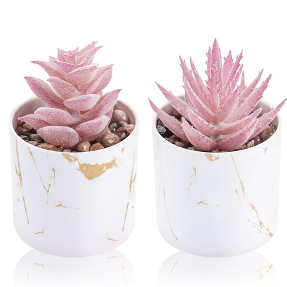 Set of 2 Succulents Plants Artificial Mini Fake Succulents Plants for Office Desk Accessories for Women Pink Home Vanity Decor