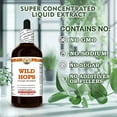 thumbnail image 6 of Wild Hops (Flemingia Strobilifera) Dry Root Liquid Extract. Expertly Extracted by Trusted HawaiiPharm Brand. Absolutely Natural. Proudly made in USA. Tincture 4 Fl.Oz, 6 of 10