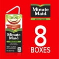 Minute Maid Apple Fruit Juice, 6 fl oz, 8 Juice Boxes
